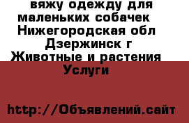 вяжу одежду для маленьких собачек  - Нижегородская обл., Дзержинск г. Животные и растения » Услуги   